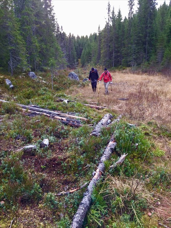 Thomas Knutzen og Harald Gløersen rydder løypa fra Gørvomma til Bjønnputten. FOTO: Lene Li Dragland